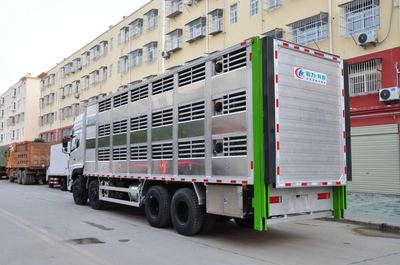 高效運輸，守護鮮活——東風天龍12米畜禽運輸車深度解析